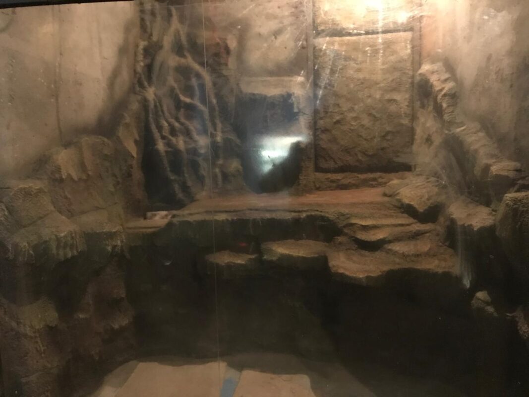 Баку