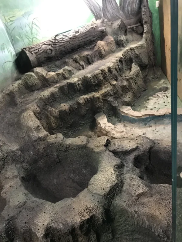 ВДНХ